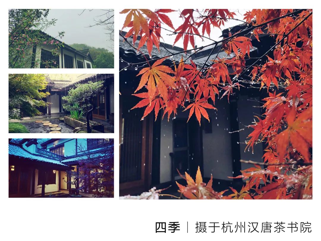 特別策劃 | 茶室中國 NO.1 時節(jié)的詩意插圖7 特別策劃 | 茶室中國 NO.1 時節(jié)的詩意插圖7