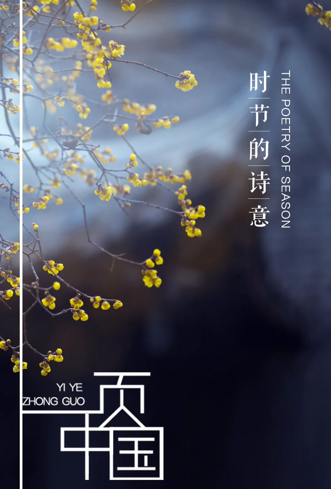 特別策劃 | 茶室中國 NO.1 時節(jié)的詩意插圖12 特別策劃 | 茶室中國 NO.1 時節(jié)的詩意插圖12